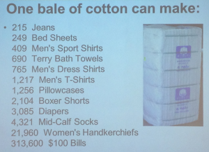 Cotton Bale facts